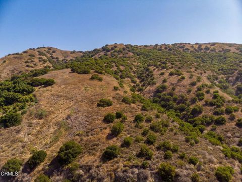 Kay Wilson-Bolton, Real Estate Broker - DRE 00577863 in Santa Paula, CA (6)