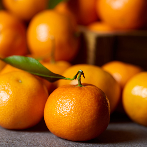 Joshua Citrus Inc in Arcadia, FL (4)