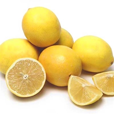 Joshua Citrus Inc in Arcadia, FL (6)