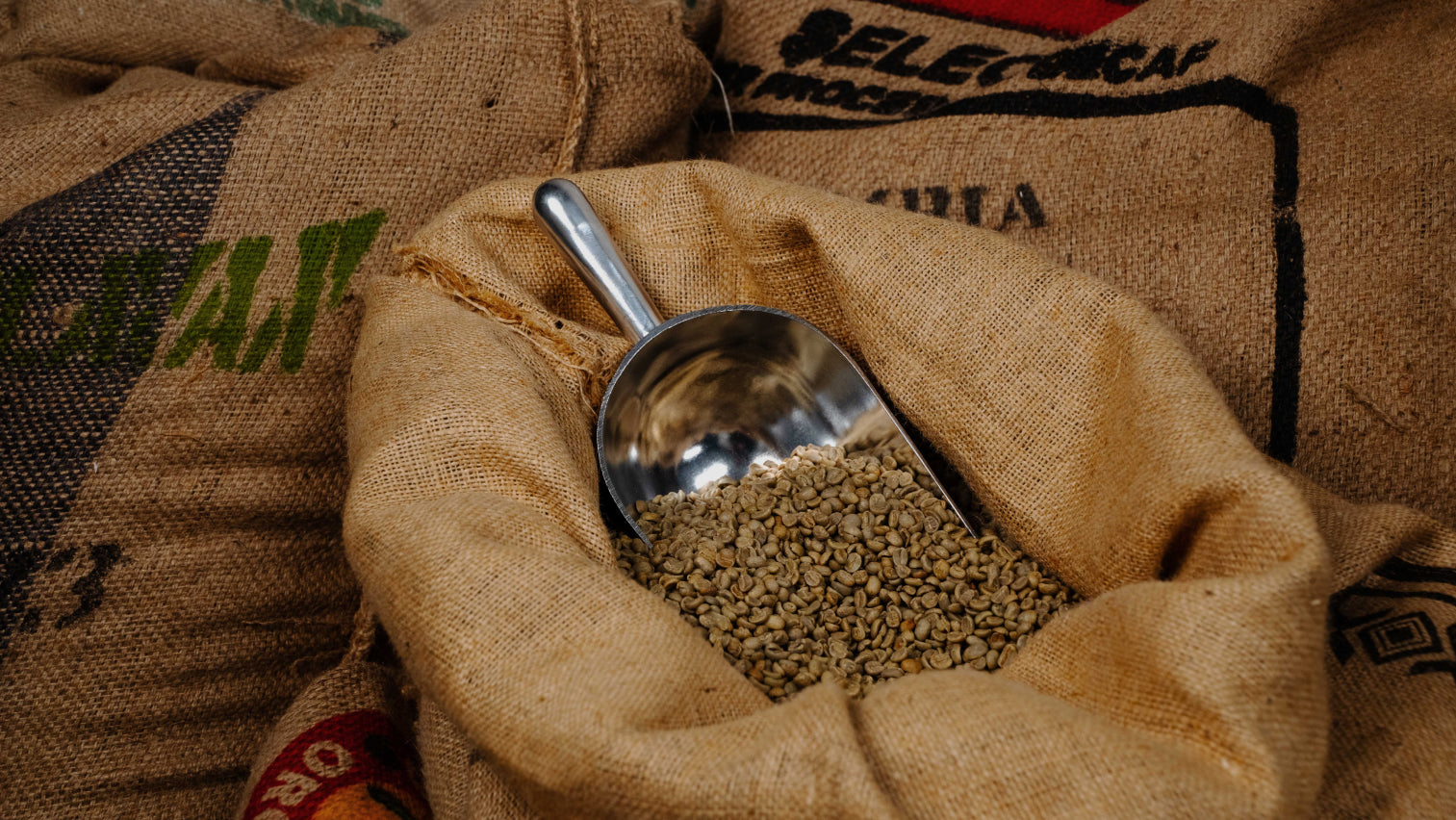 Sanctuary Roasting in Clovis, CA (2)