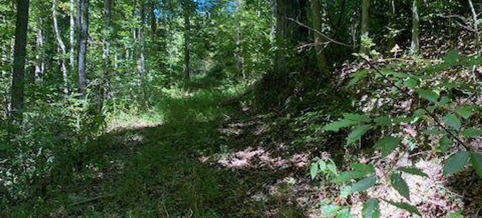Lonesome Pine Realty Inc in Big Stone Gap, VA (2)