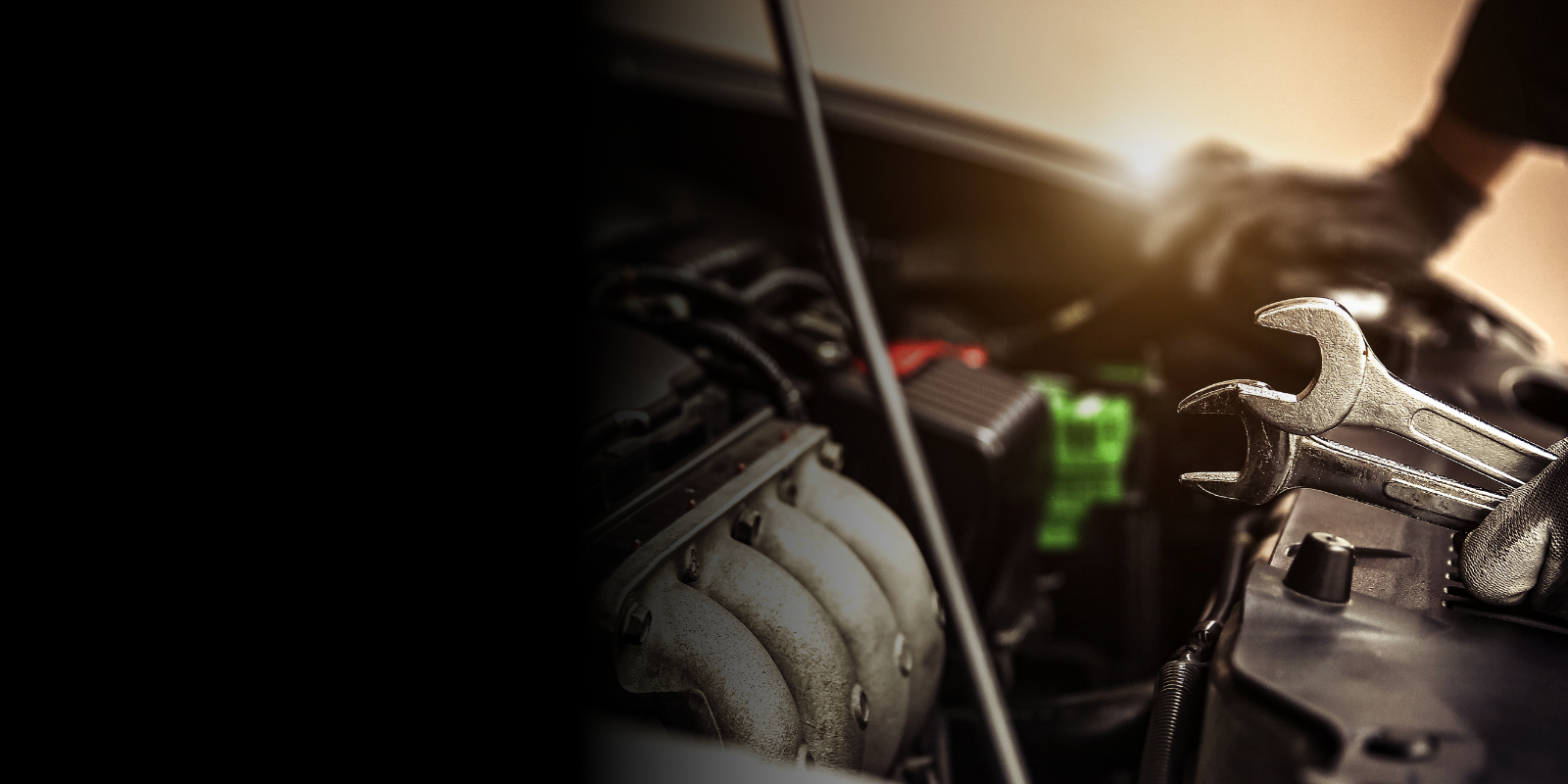 Royals Auto Care in Royal Palm Beach, FL