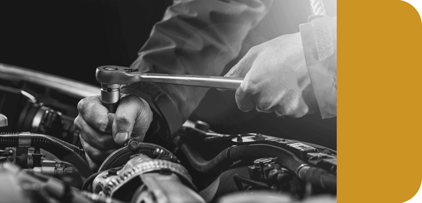 Royals Auto Care in Royal Palm Beach, FL (2)