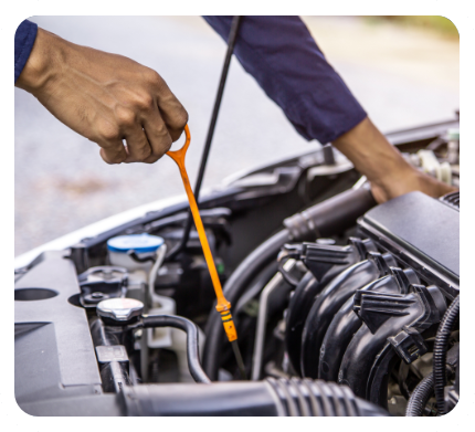 Royals Auto Care in Royal Palm Beach, FL (3)
