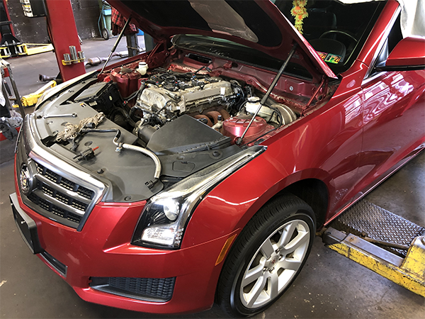 Kyle Carr Tire & Auto Service in Chalfont, PA (2)