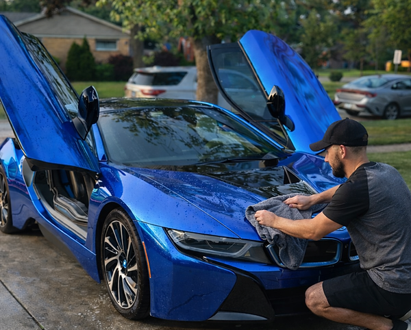 PYZ Auto Detailing in Mount Prospect, IL (2)
