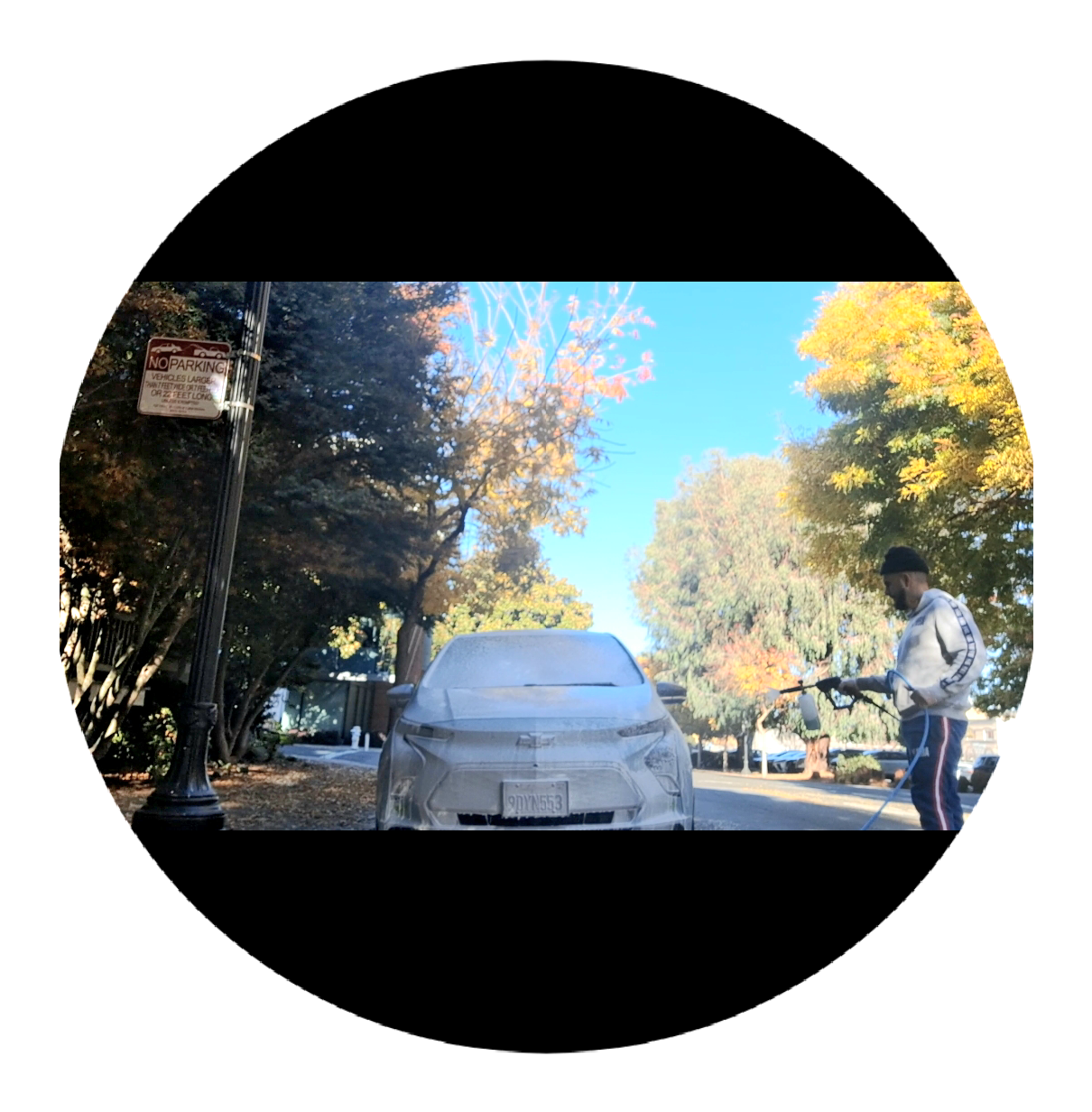 Peanuts auto detailing in Sunnyvale, CA