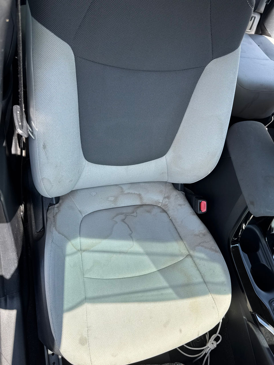 KozyClean Upholstery & Home Cleaning Services in Cape Coral, FL (4)
