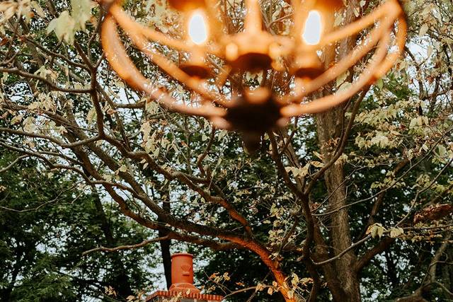 Weddings by Dana in Milroy, PA (6)