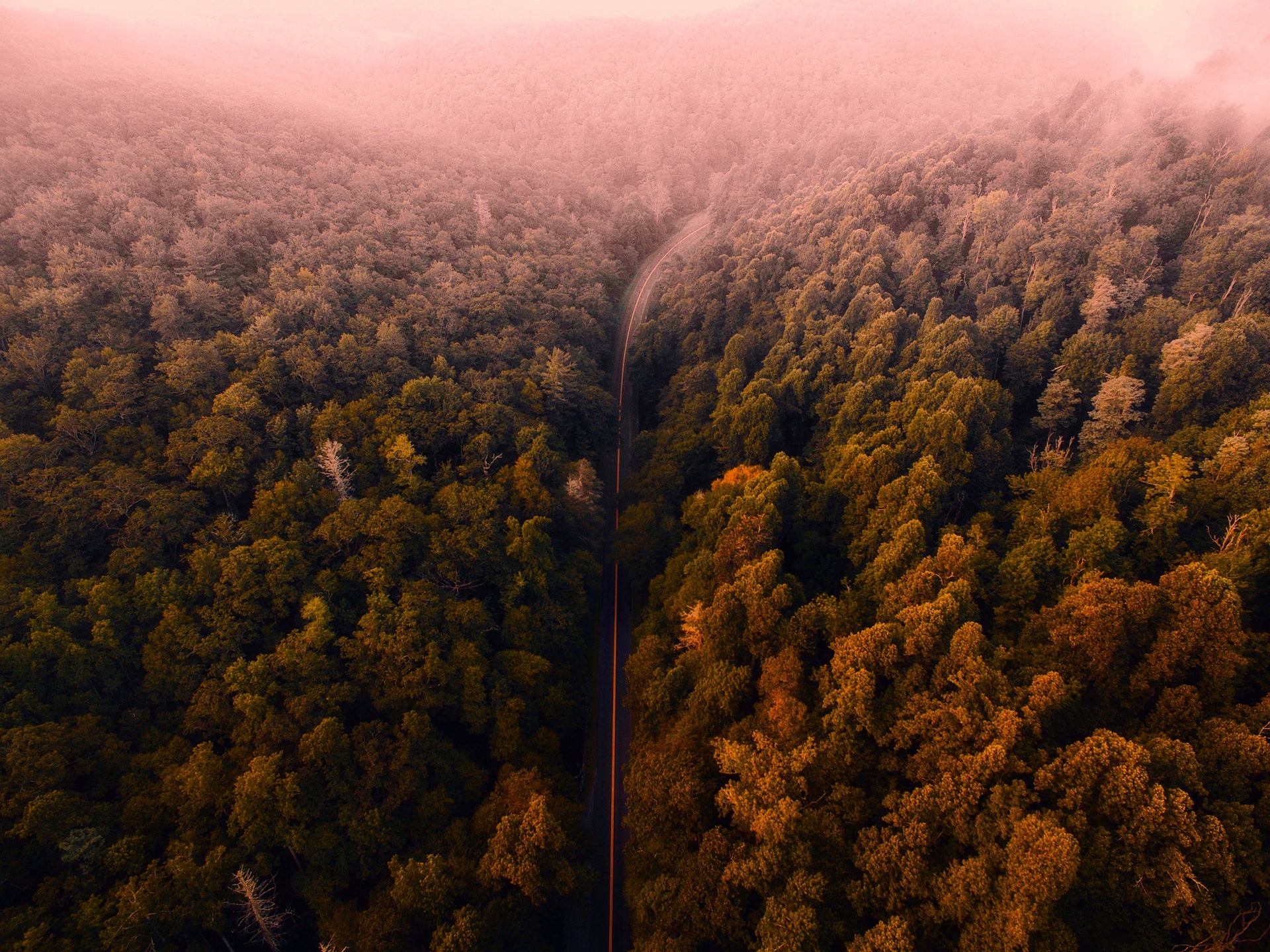 Cat Benitez - REMAX Town & Country in Ellijay, GA (2)