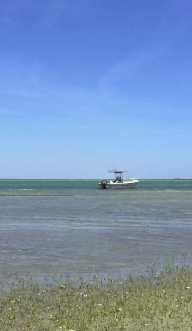 Crystal Coast Ecotours in Morehead City, NC