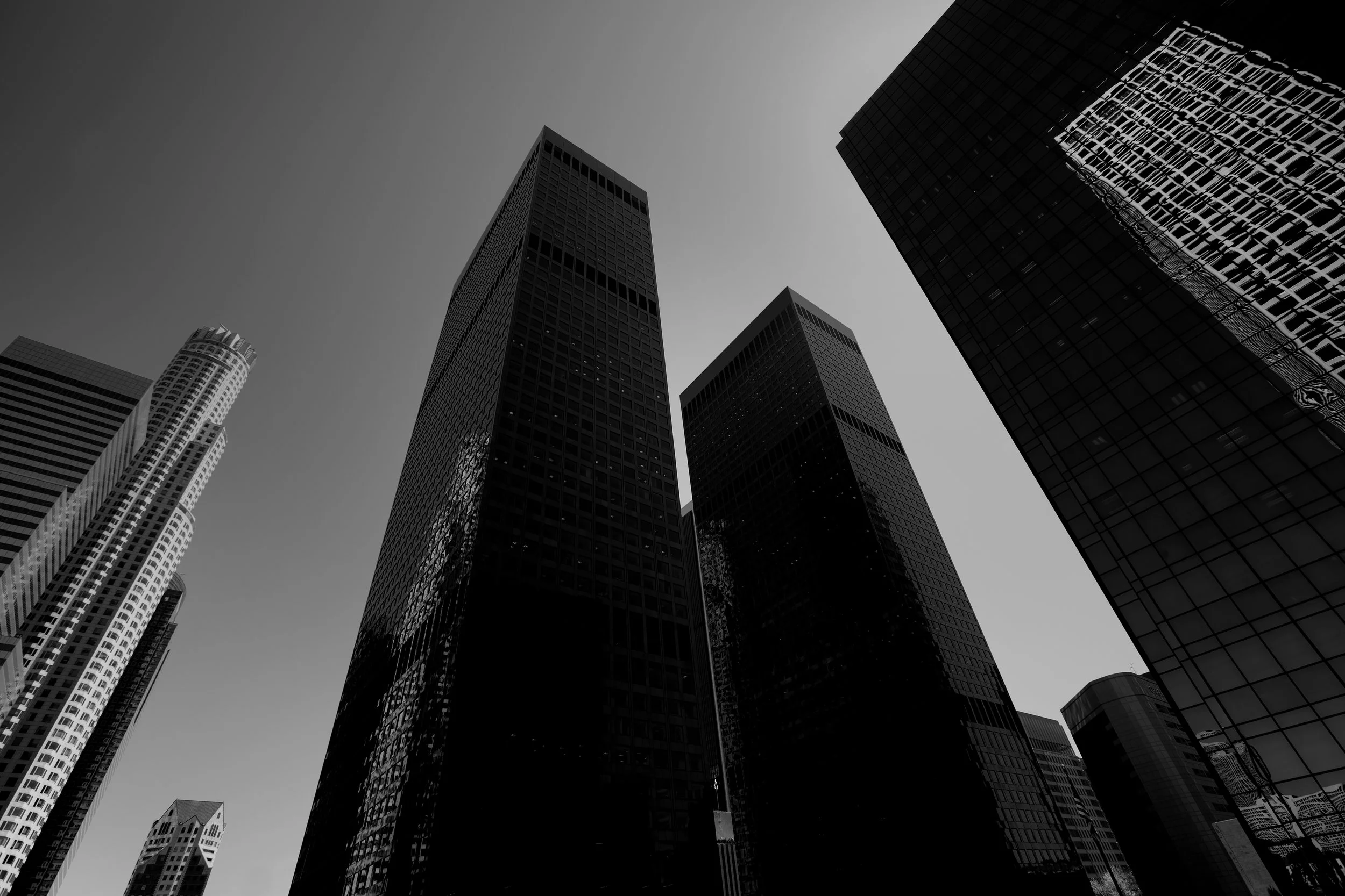 DLD Accountancy, LLP in Los Angeles, CA (3)