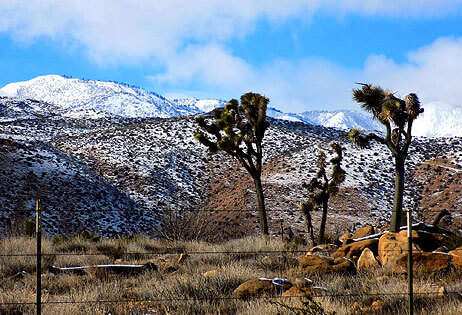 C & S Real Estate in Yucca Valley, CA (6)