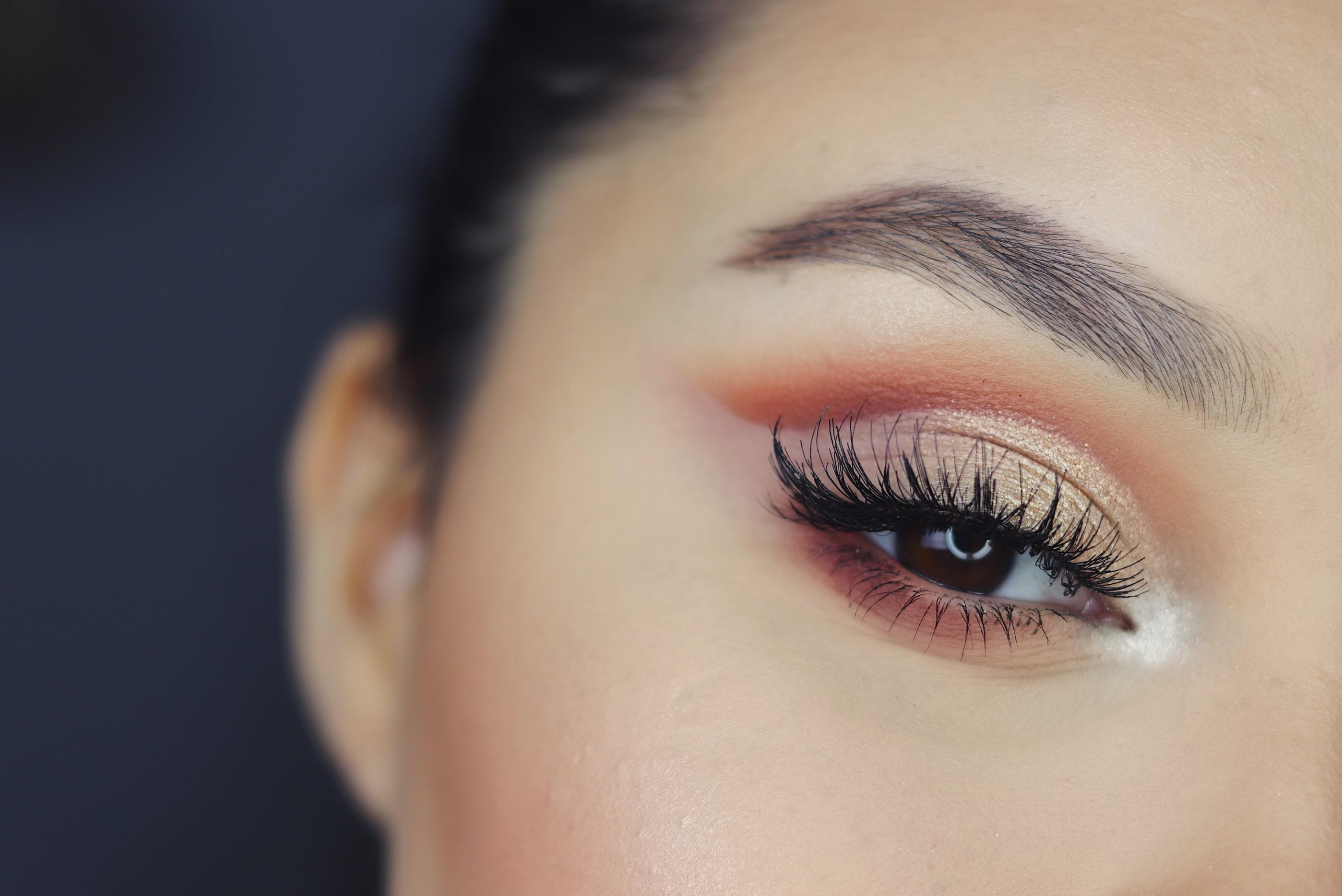 Z Beauty Academy & Spa in Brandon, FL (3)