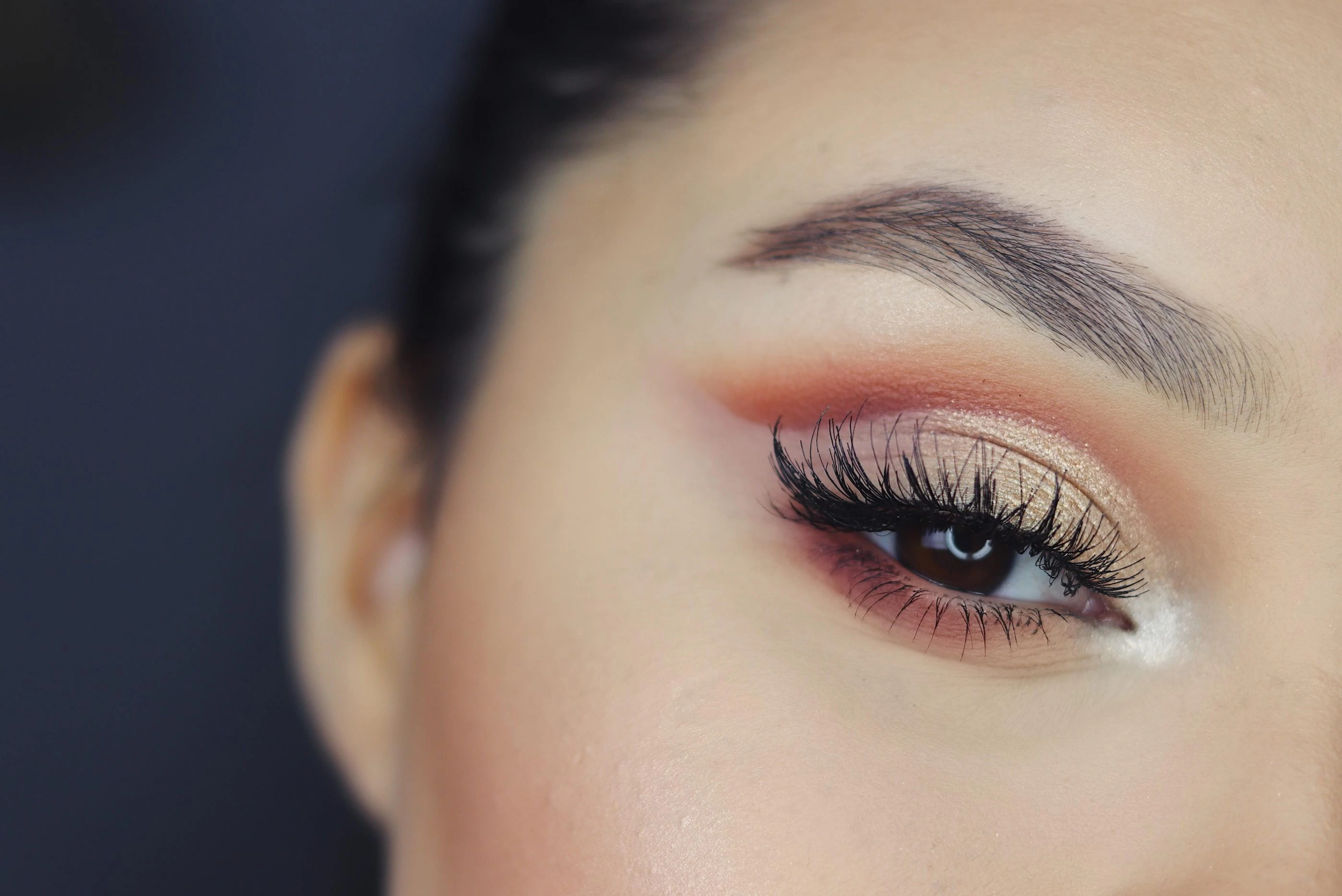 Z Beauty Academy & Spa in Brandon, FL (4)