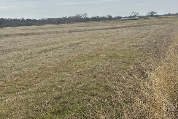 Slate Real Estate in Springtown, TX (6)