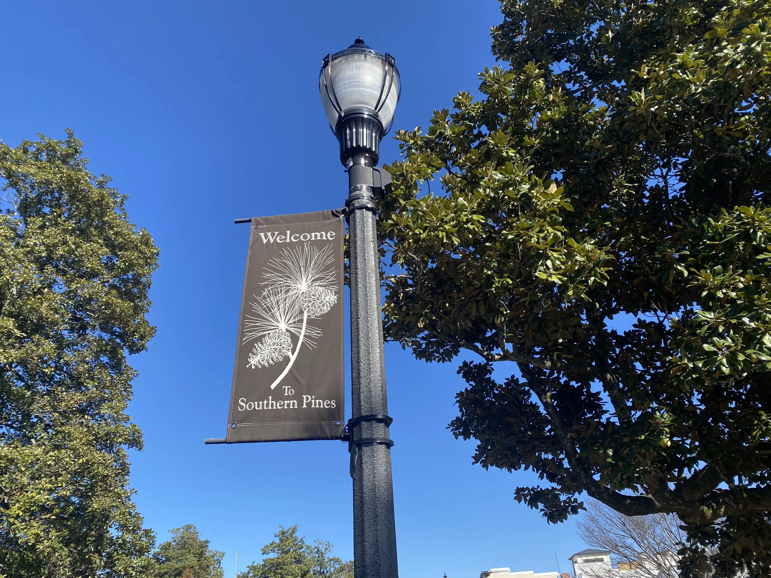 Pines Accounting Services, PLLC in Southern Pines, NC (2)