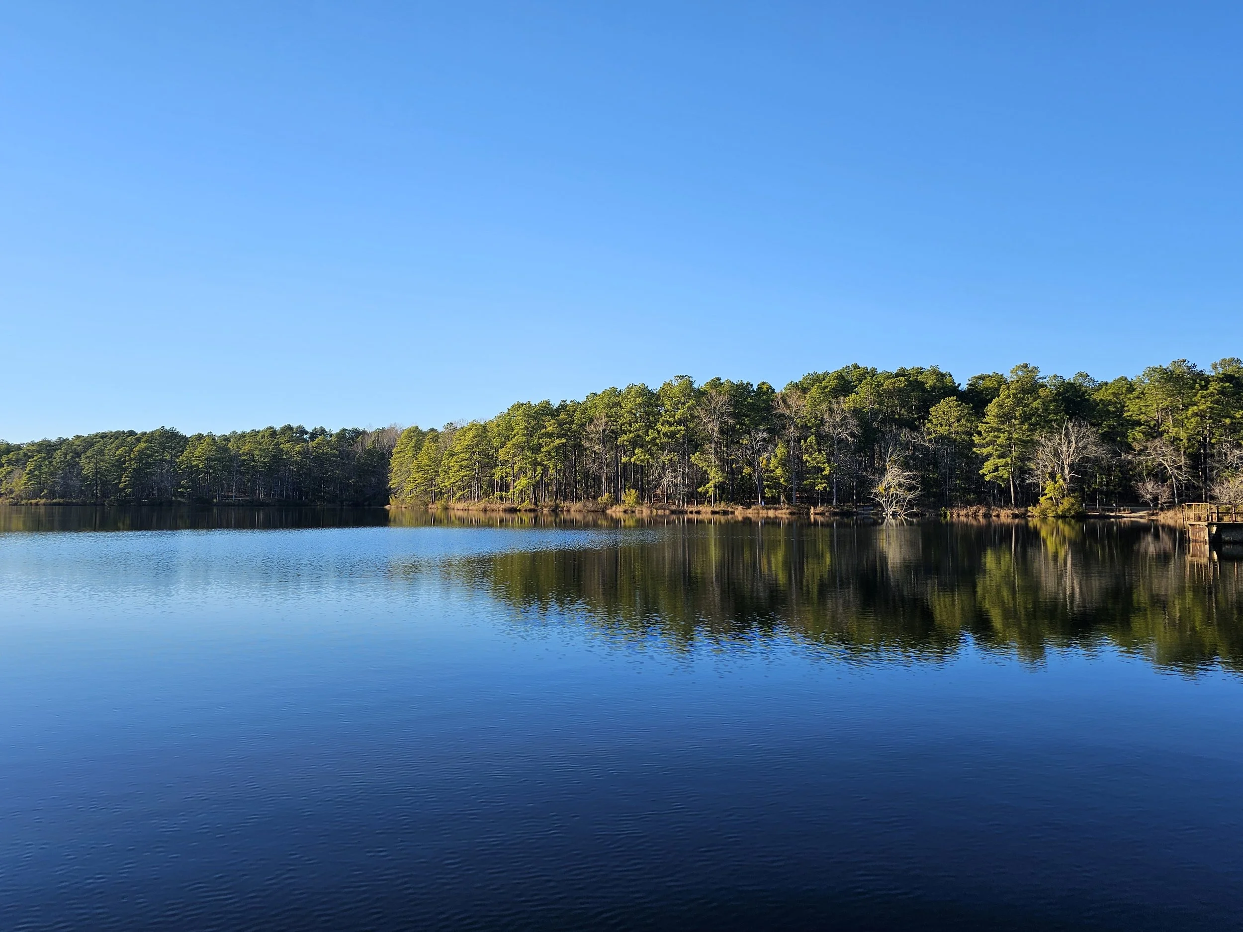 Pines Accounting Services, PLLC in Southern Pines, NC (3)