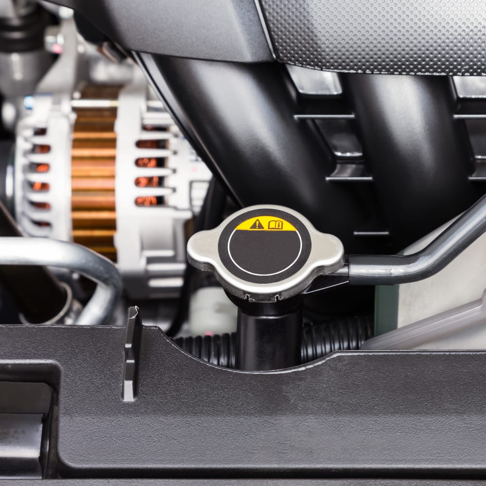 Speed Auto Repair of Jasper in Jasper, GA (5)