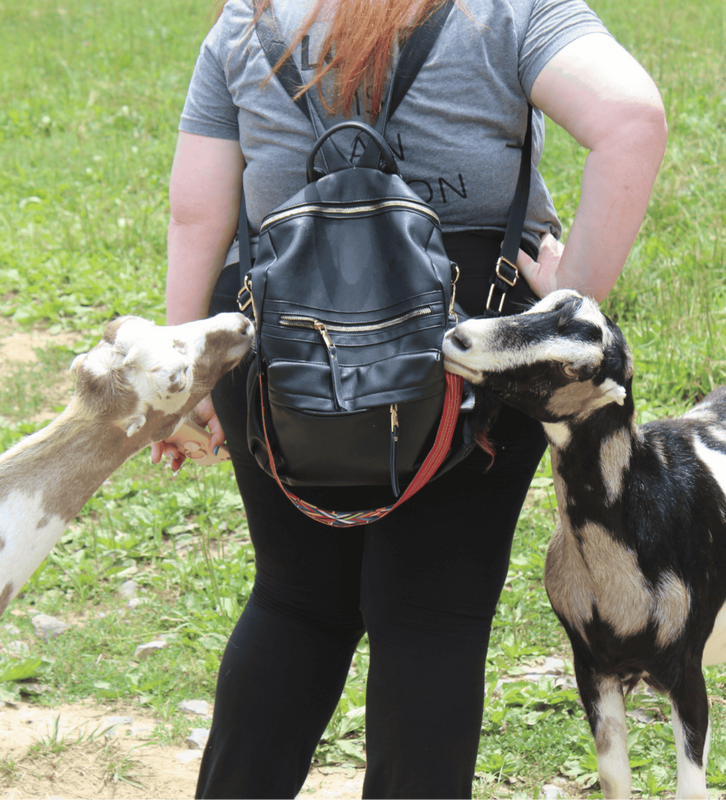 Round Mountain Creamery in Black Mountain, NC (2)