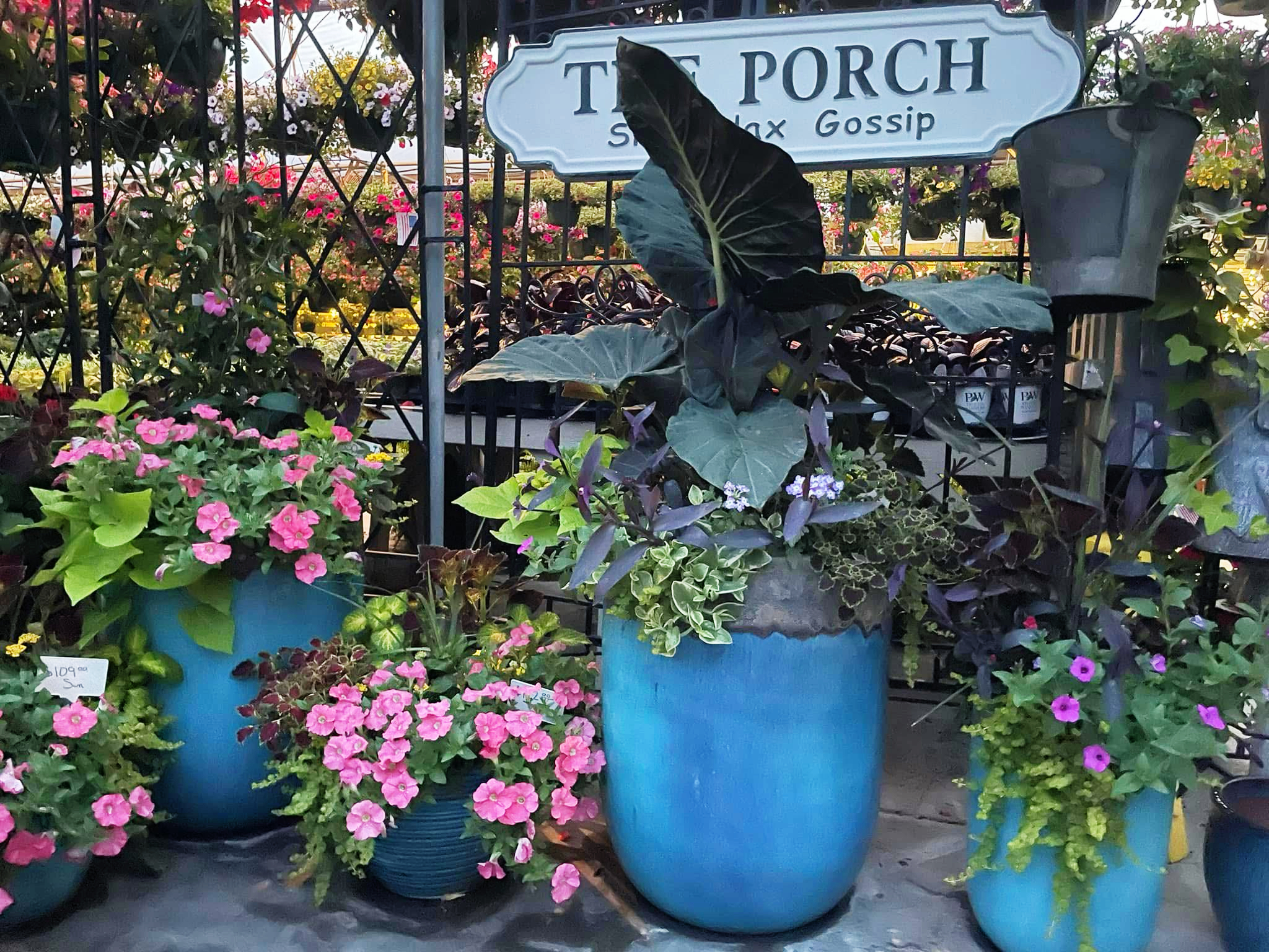 Whitaker Farms Retail Garden Center & Greenhouses in Franklinville, NC (6)