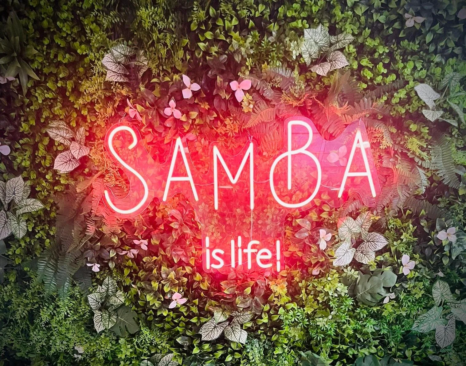 Samba Brazilian Kitchen in Gainesville, FL (2)