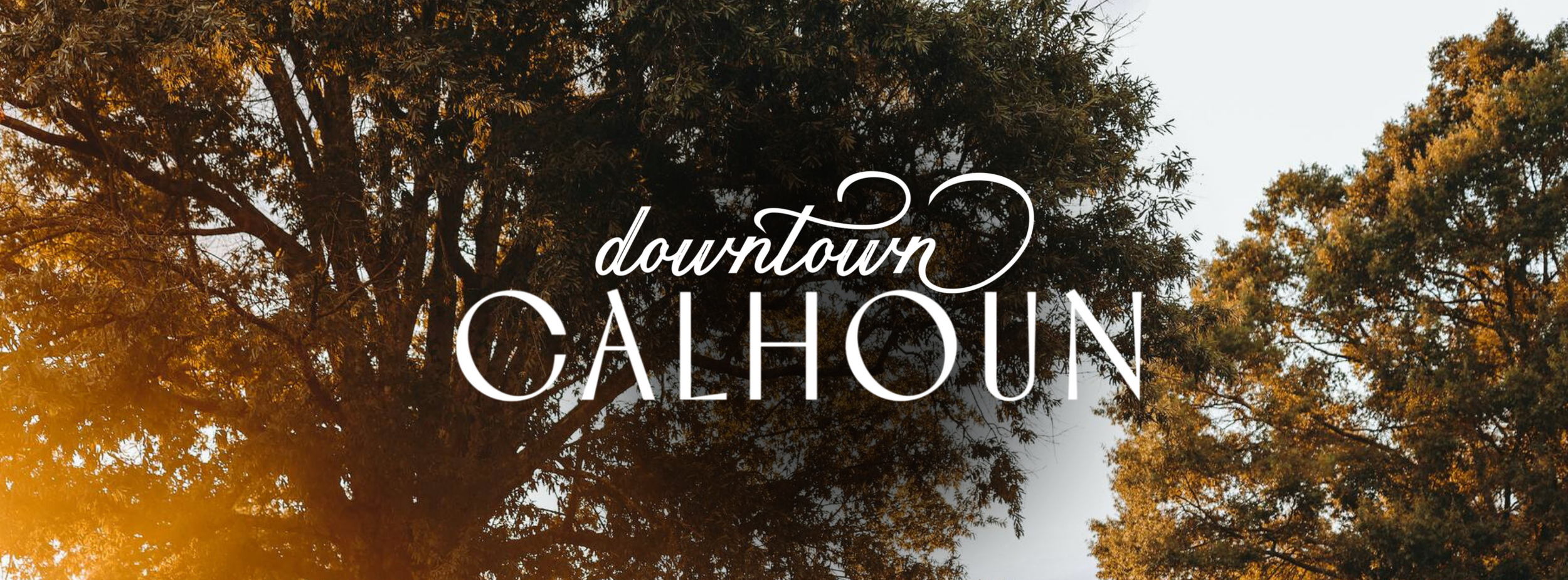 Calhoun Downtown Development Authority in Calhoun, GA