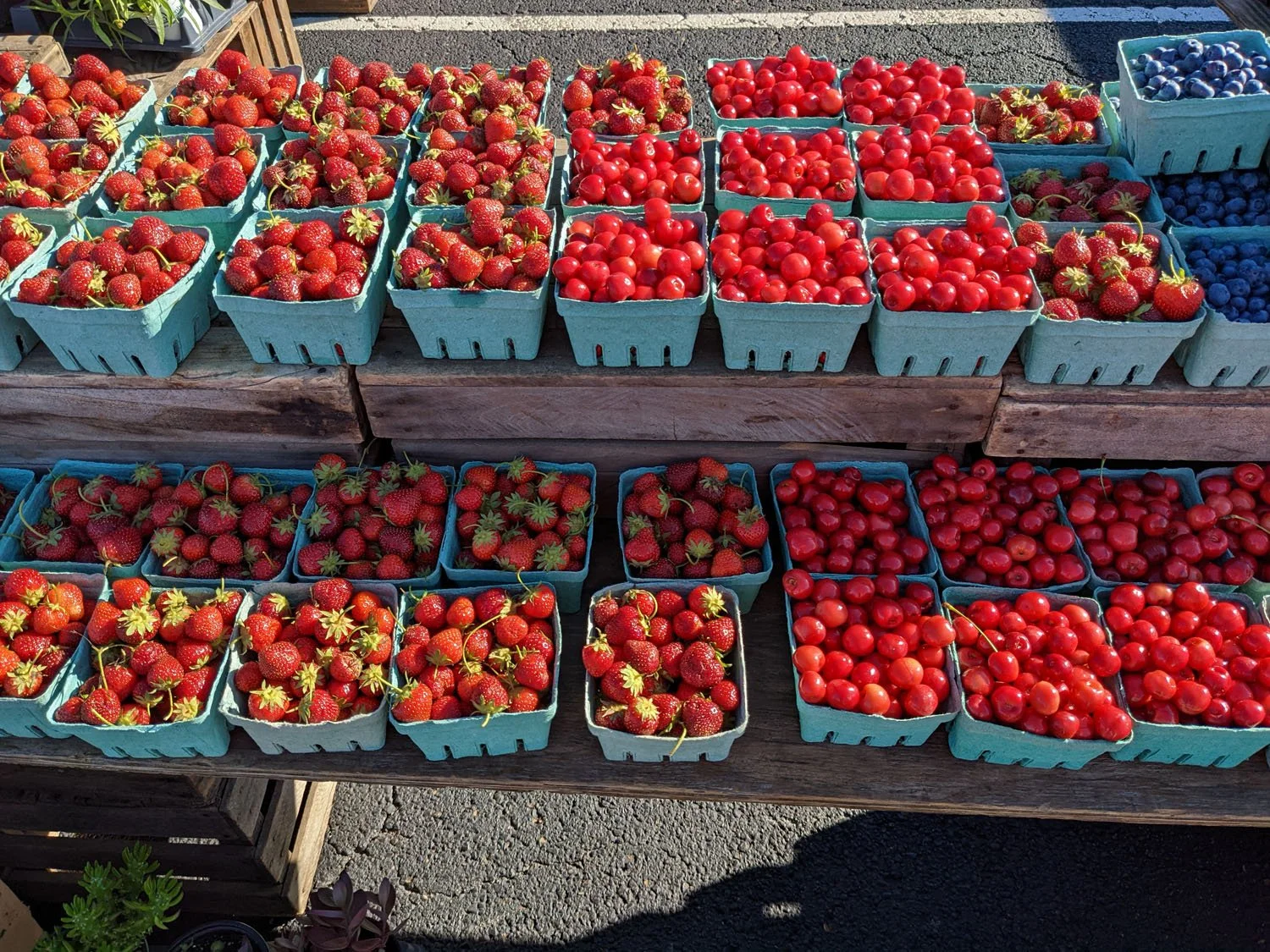 Athens Farmers Market in Athens, OH (4)