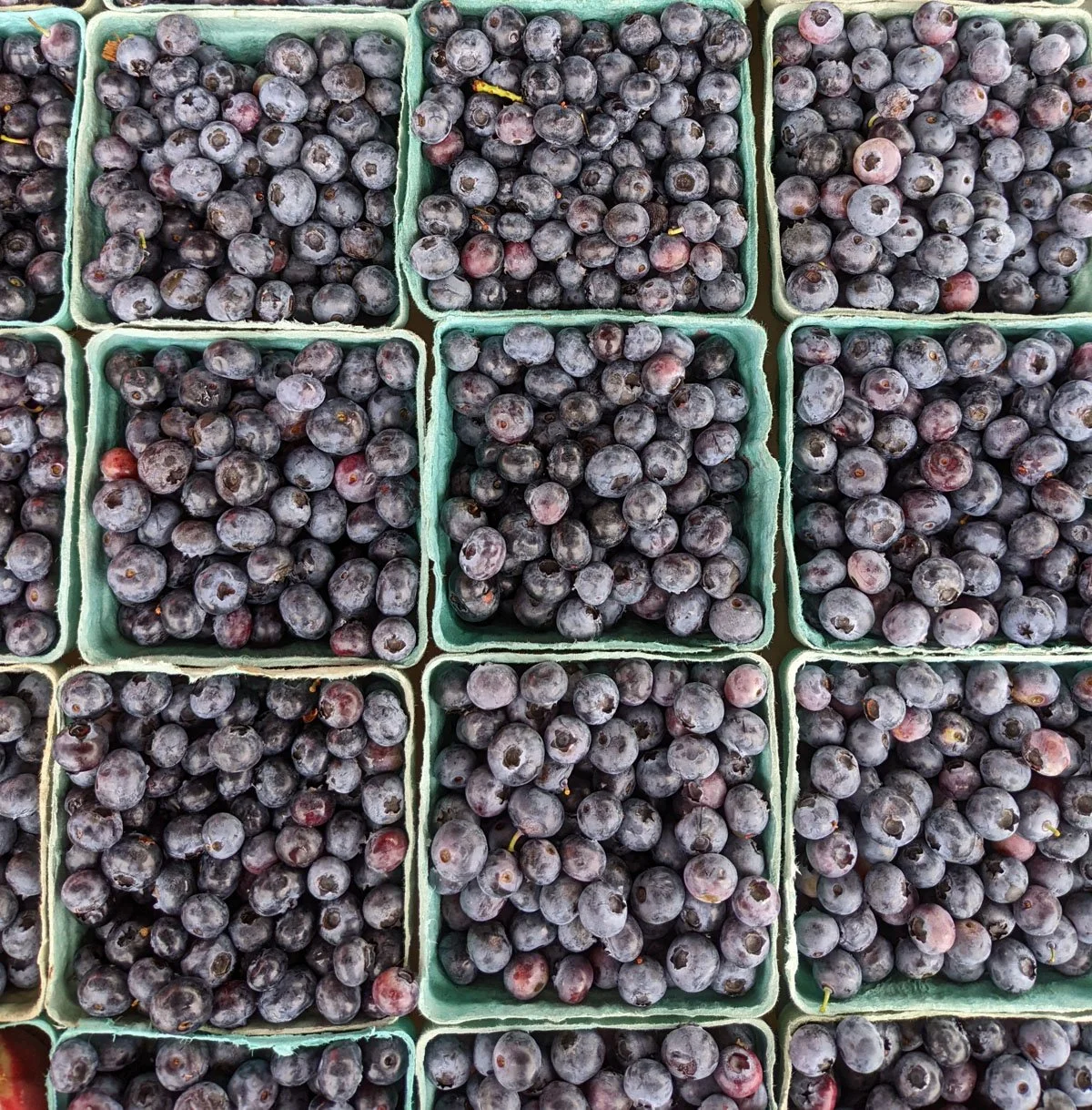 Athens Farmers Market in Athens, OH (5)