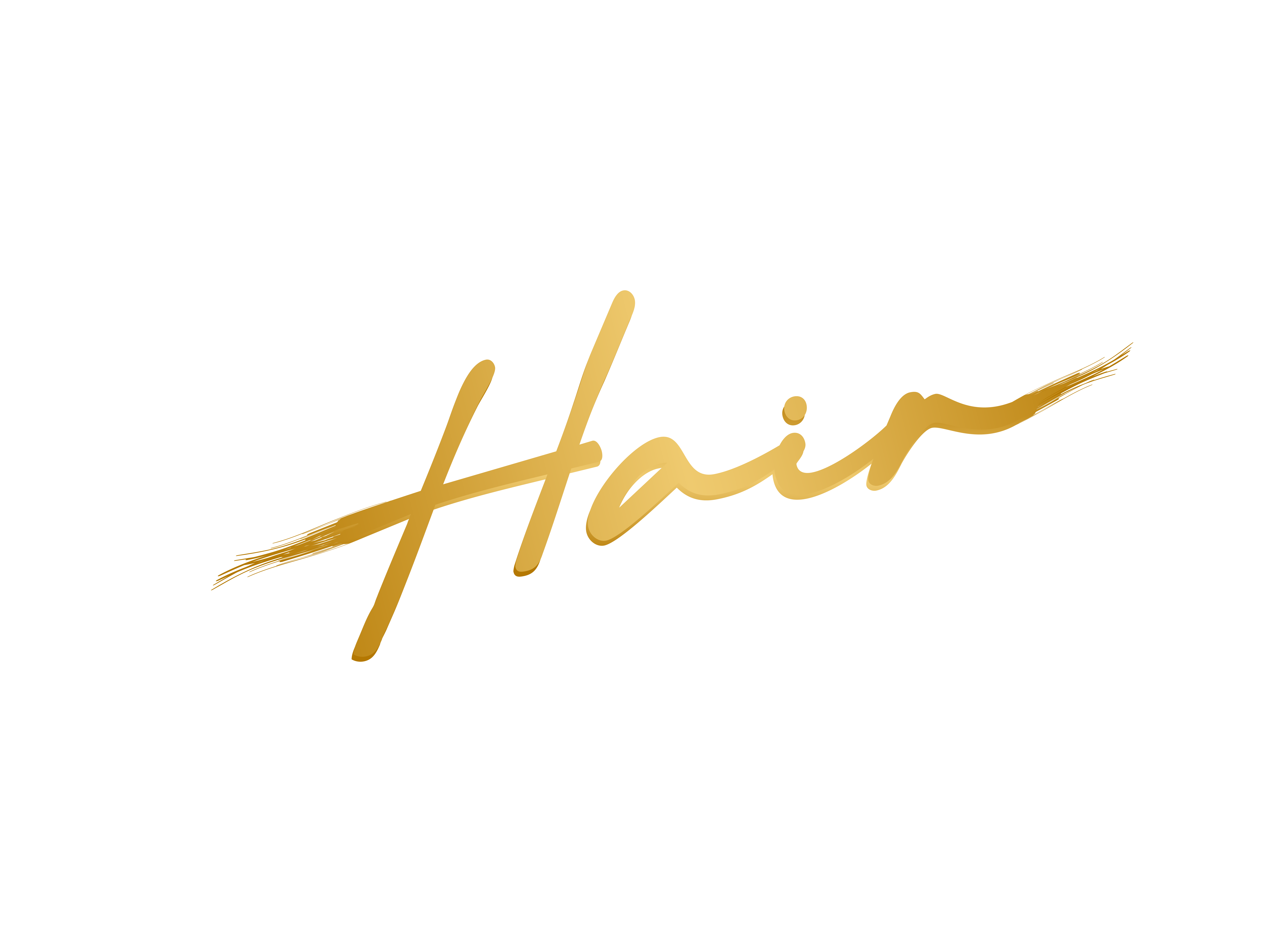 Rare Hair Haus in Haledon, NJ (6)
