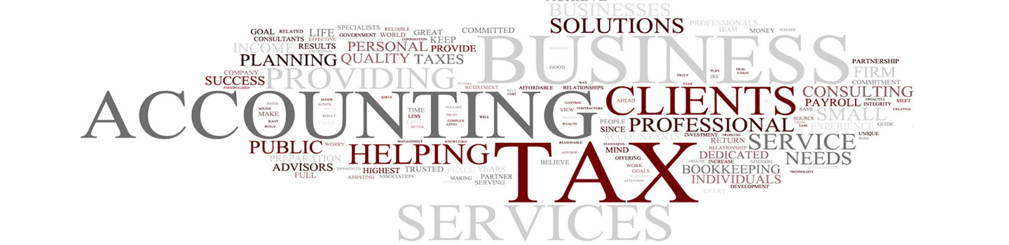 Professional Tax & Accounting Services, LLC in Denmark, WI (4)