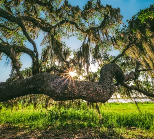 Gilkey Real Estate in Winter Park, FL (6)