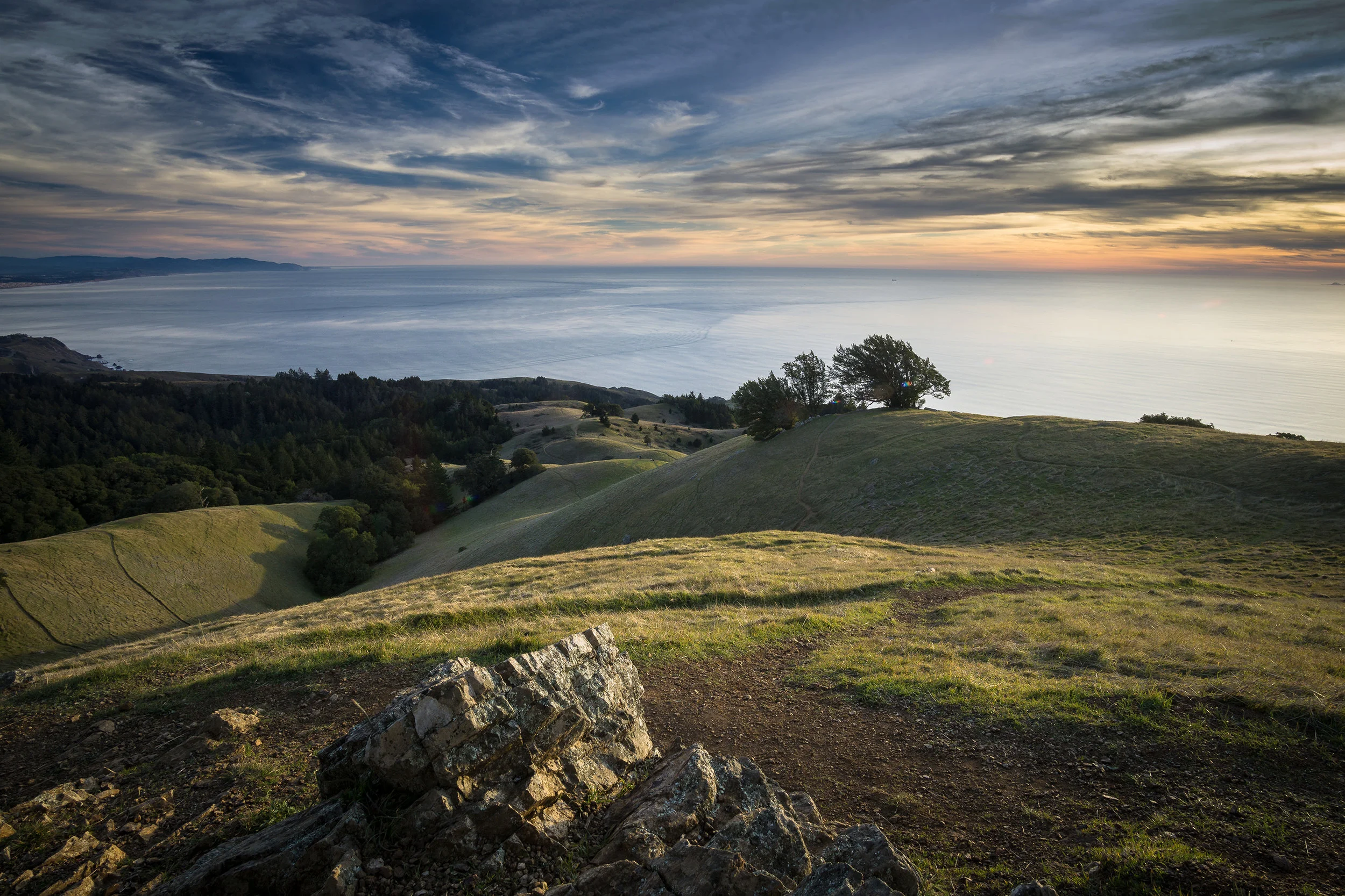 Forward LLP in San Rafael, CA