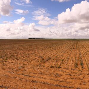 Clift Land Brokers Hereford Office in Hereford, TX (3)