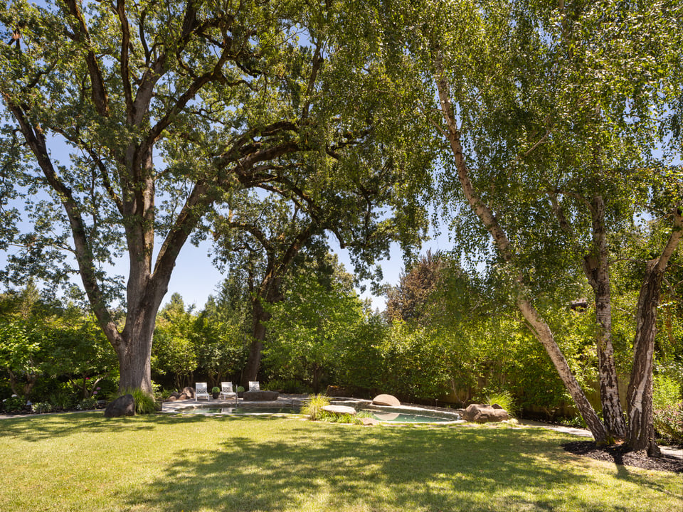 Donna Goldman COMPASS DRE# 01408527 in Larkspur, CA