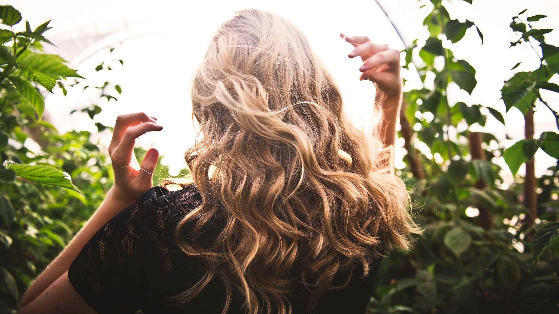 The Hive Beauty Collective in Los Angeles, CA