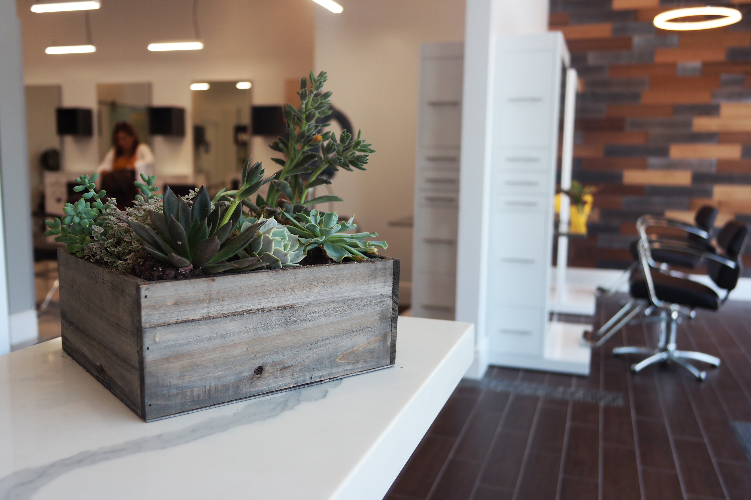 The Hive Beauty Collective in Los Angeles, CA (5)