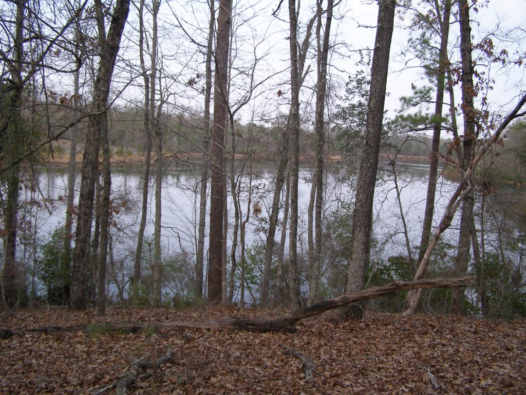 B & B Properties in Butler, GA