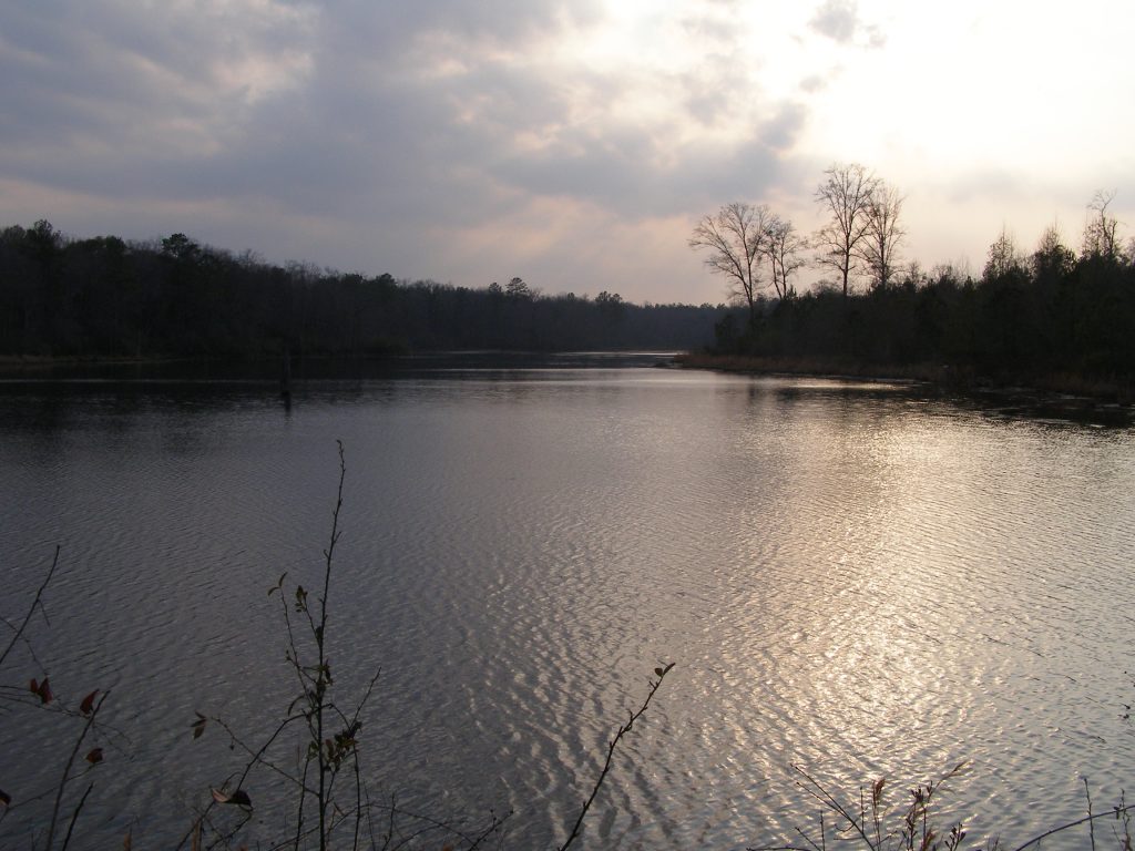 B & B Properties in Butler, GA (3)