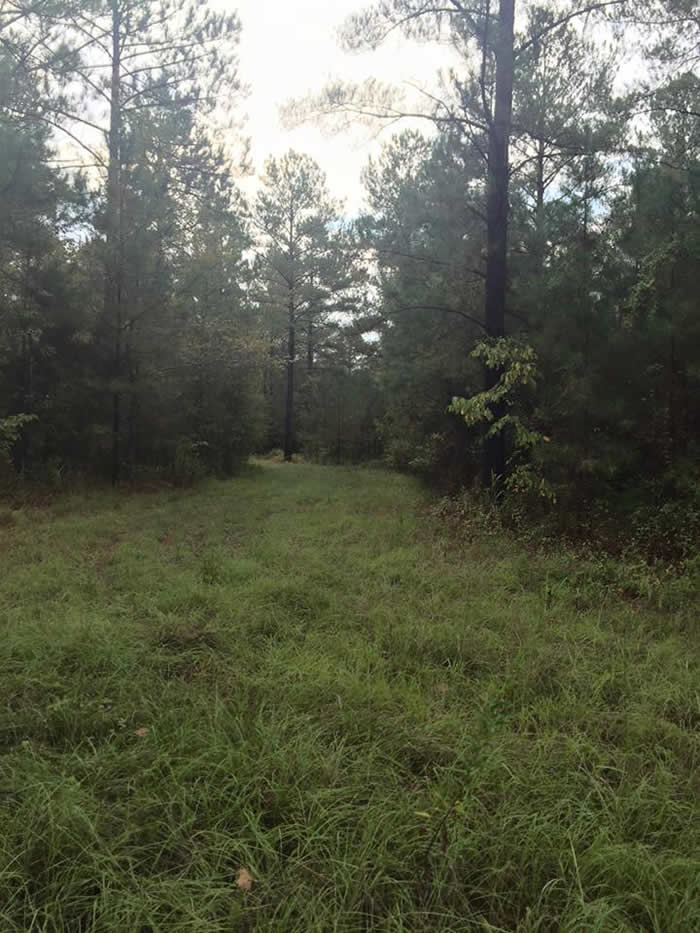 B & B Properties in Butler, GA (4)
