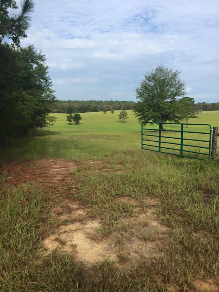 B & B Properties in Butler, GA (5)