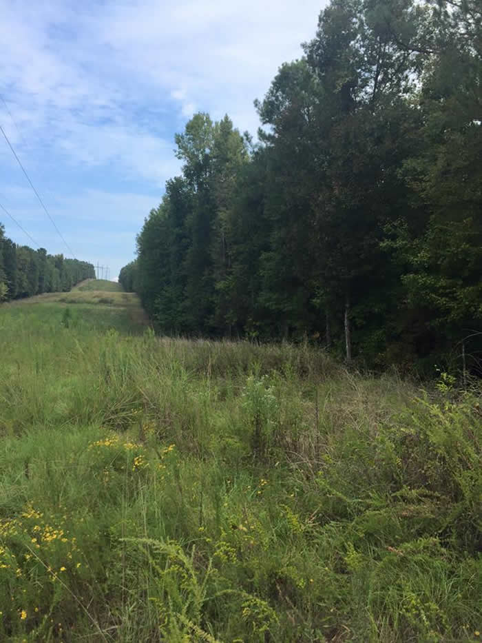 B & B Properties in Butler, GA (6)