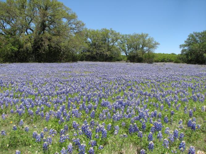 Hill Country Real Estate LLC in Junction, TX (2)