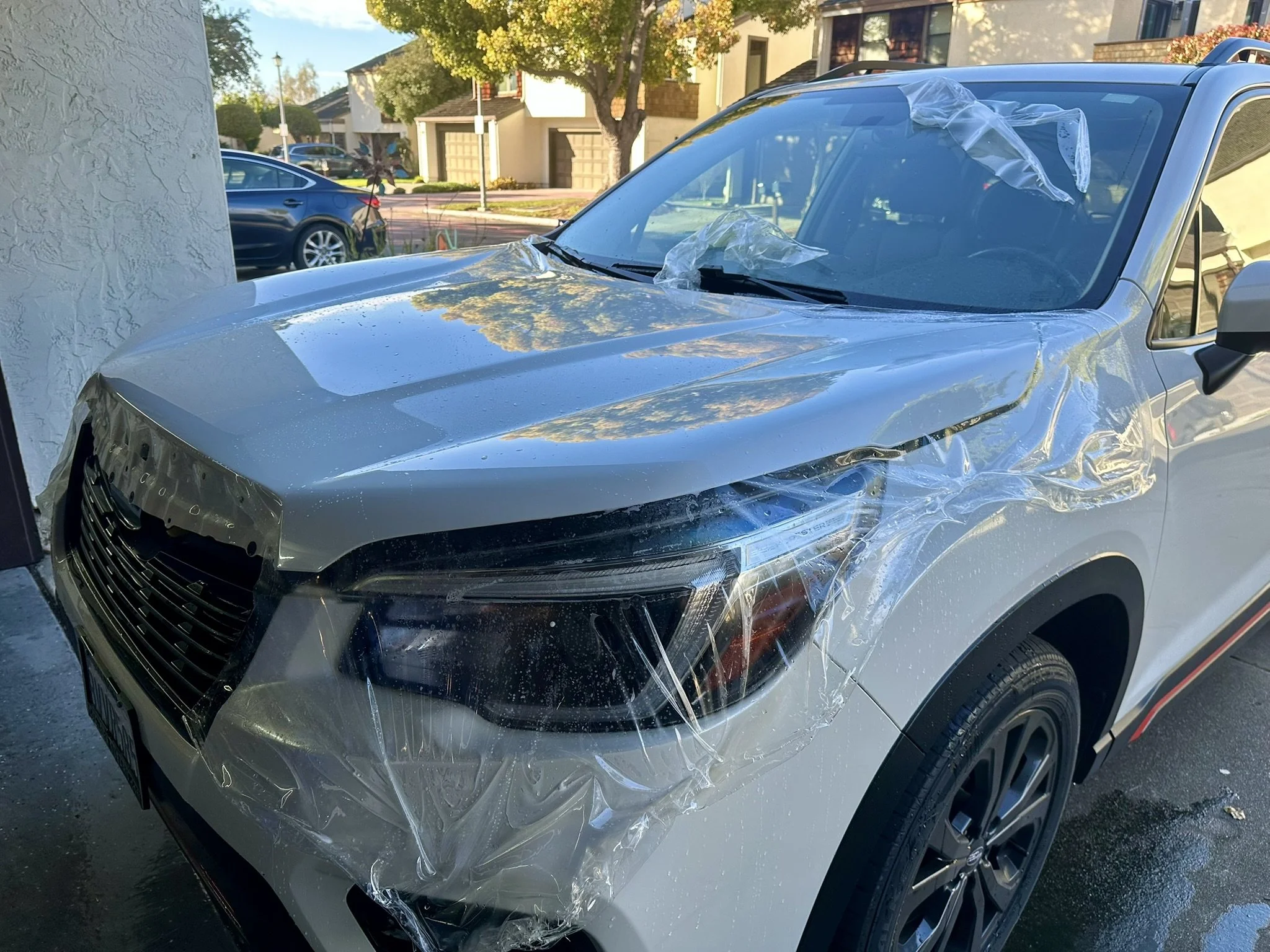 Spec Auto Detailing - Ceramic Coating & Paint Protection Film in Fremont, CA (6)