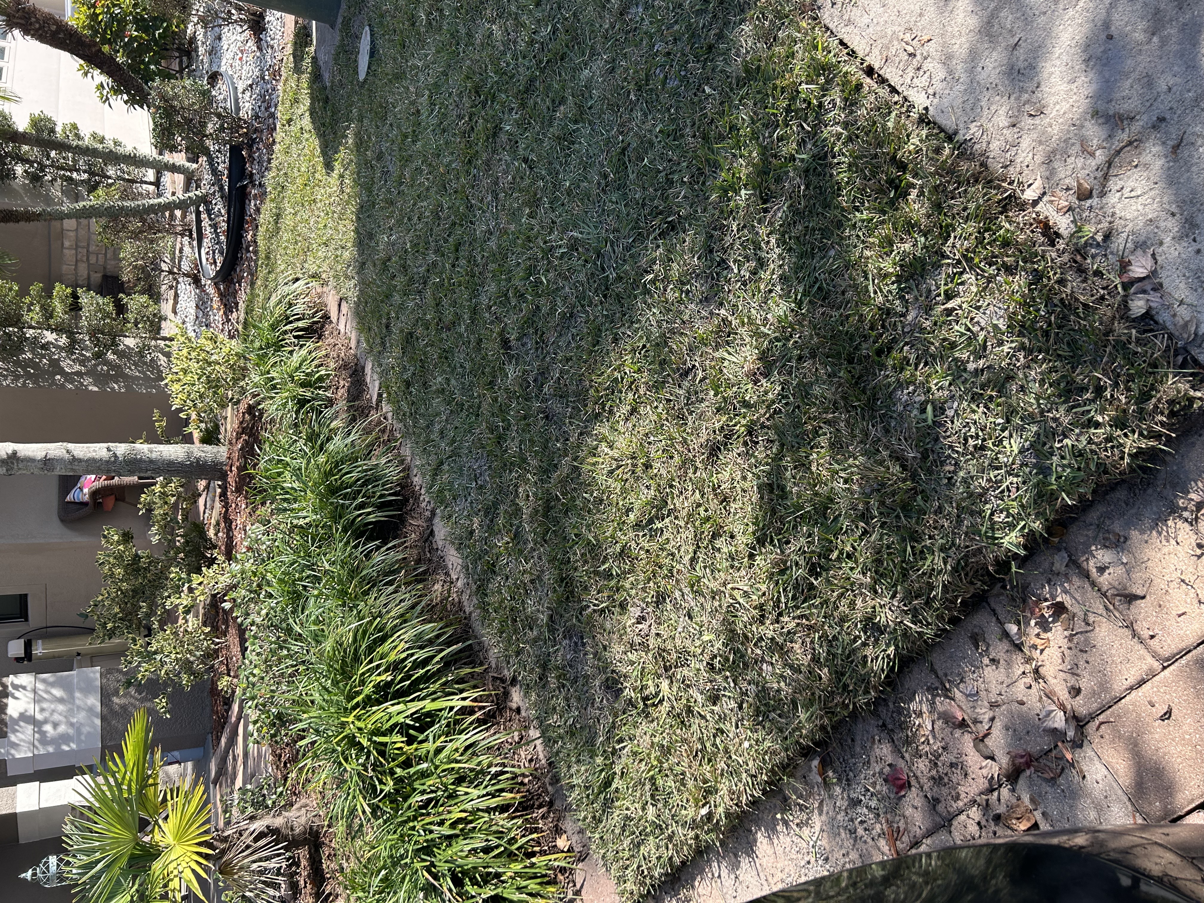 🌱SightGlow Safety On Demand— Havelock, NC #1 Organic & Non-Gas Lawn Care—Woman & Veteran-Owned Business in Candor, NC