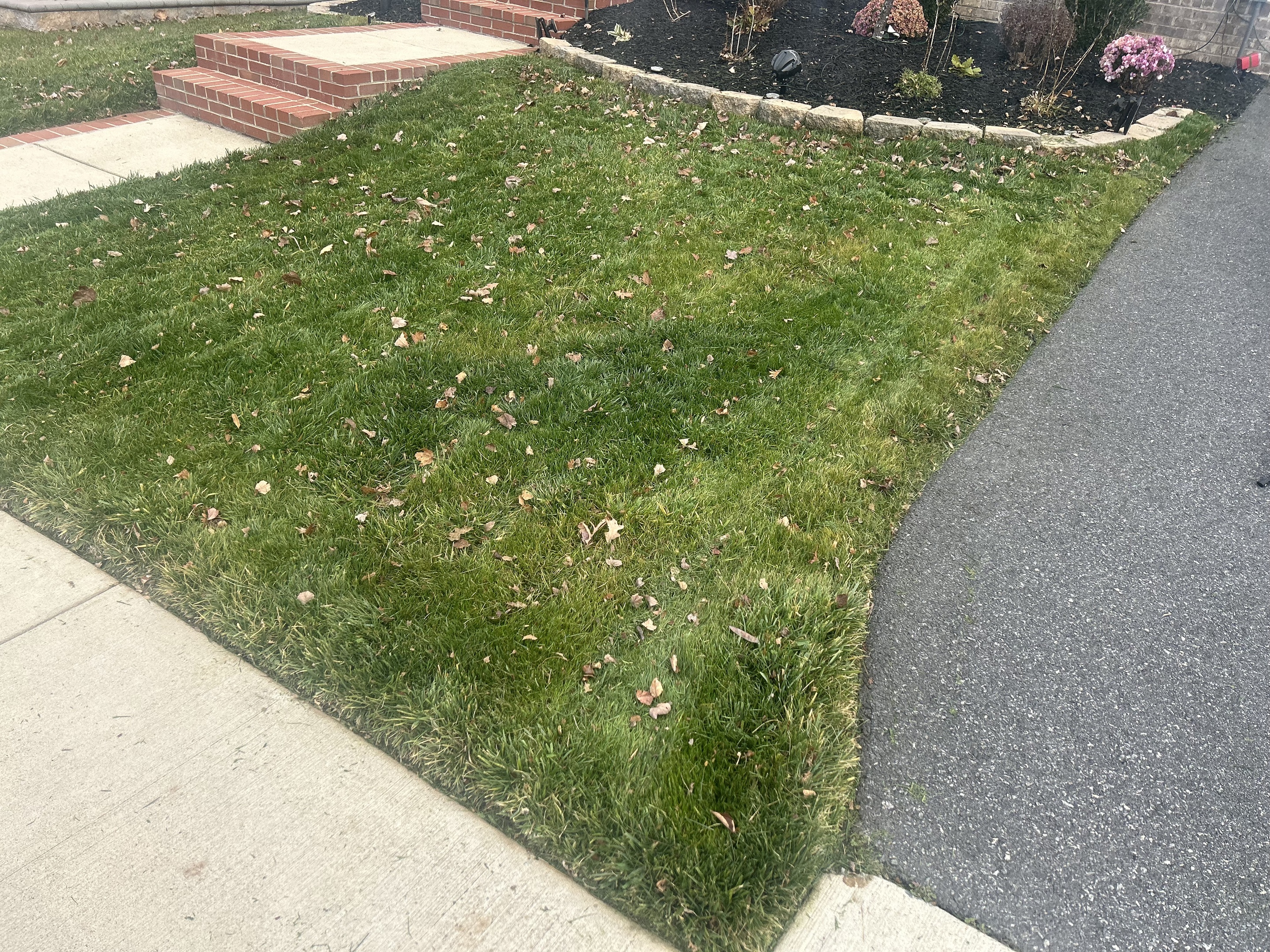 🌱SightGlow Safety On Demand— Havelock, NC #1 Organic & Non-Gas Lawn Care—Woman & Veteran-Owned Business in Candor, NC (4)