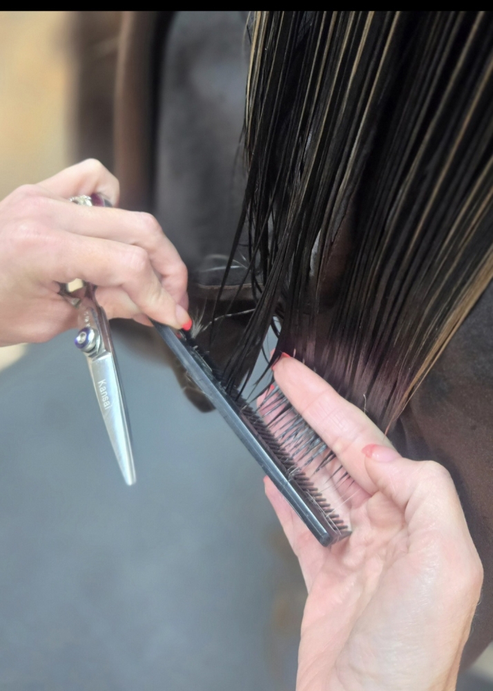 Anew Salon in Winchester, IN (4)