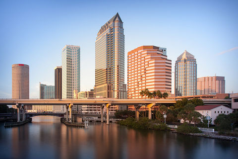 Hope Owens Henry - Realtor @ Realty ONE Group Advantage in Tampa, FL (5)