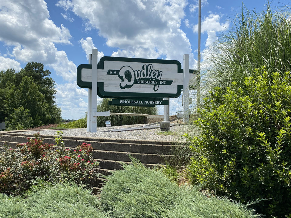 R A Dudley Nurseries in Thomson, GA (2)