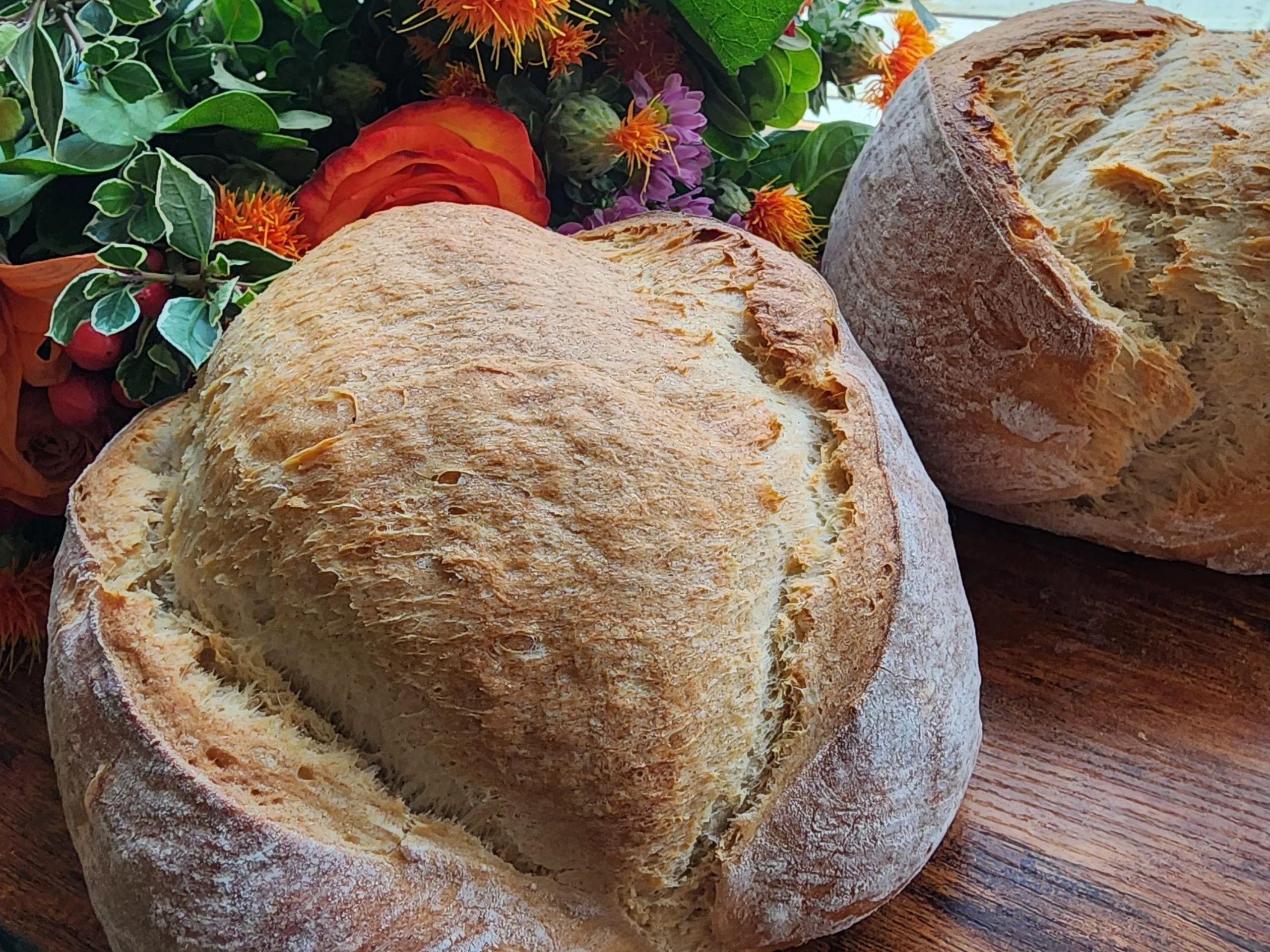 Heritage Rise Sourdough in Elk Grove, CA